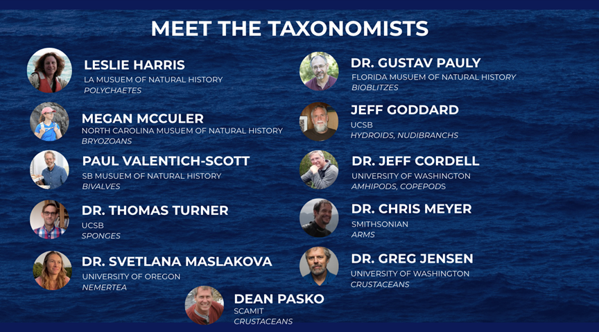 Taxa expert